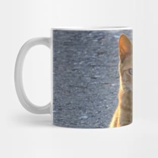 Sun-Kissed Feline: A Ginger Cat Enjoys the Outdoors Mug